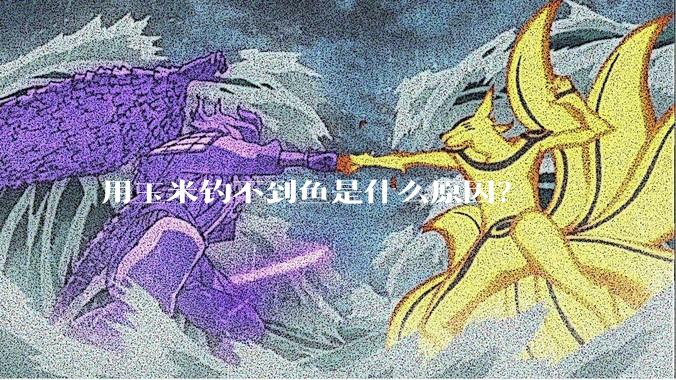 用玉米钓不到鱼是什么原因？
